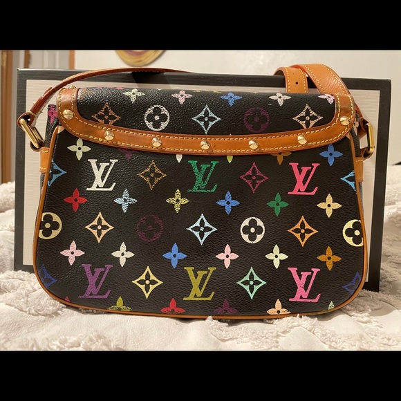 ๐RARE๐ Louis Vuitton multi color Sologne Bag. - Picture 14 of 16
